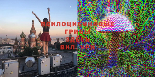 МДПВ Верхний Тагил