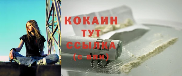 ГАЛЛЮЦИНОГЕННЫЕ ГРИБЫ Верея