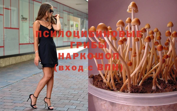 МДПВ Верхний Тагил