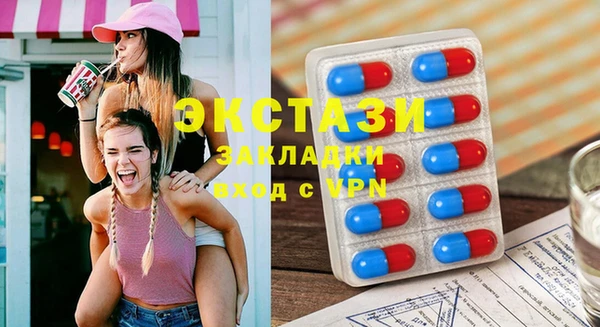 ГАЛЛЮЦИНОГЕННЫЕ ГРИБЫ Верея