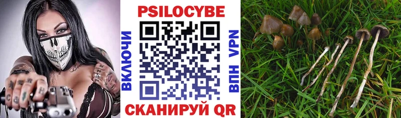 Галлюциногенные грибы прущие грибы продажа наркотиков Люберцы